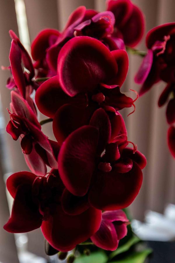 Valentine Apartments Presented By The V Group Blackpool Eksteriør billede